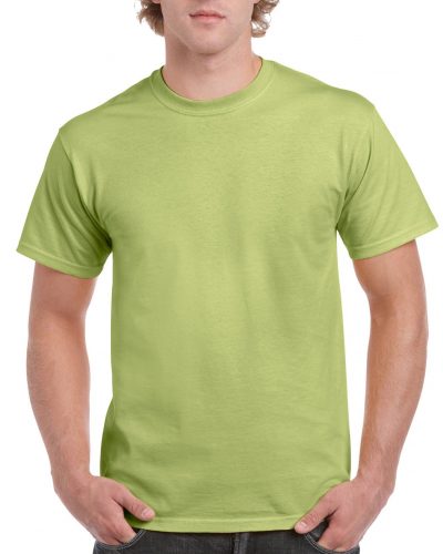 2000-adult-t-shirt-pistachio