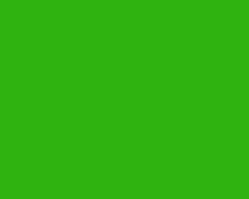 28-lime-green